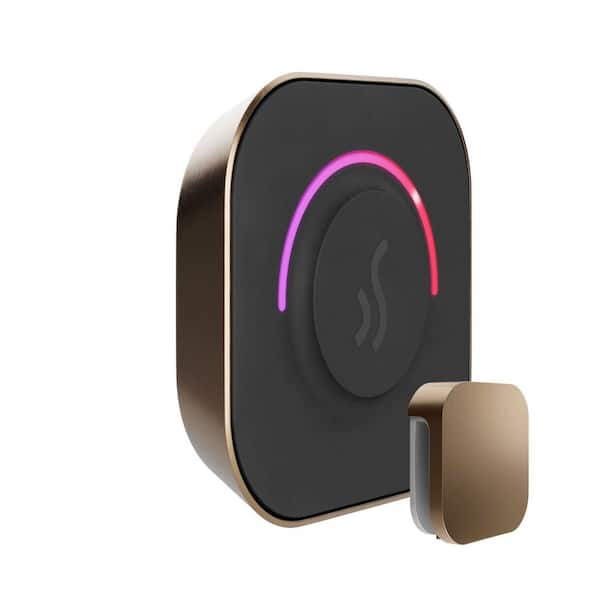 TempoTouch Steam Shower Control and Steamhead in Nouveau Bronze