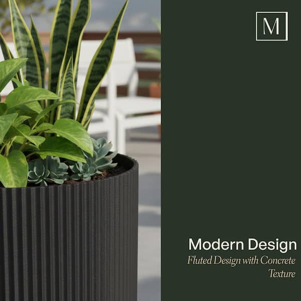 succulent pot amazon Assorted Mini Succulent Collection – Classy Casita