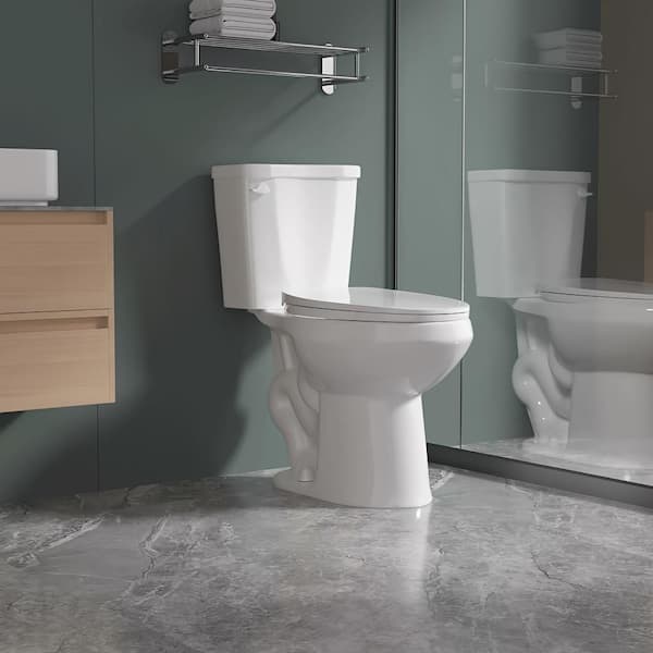 1.0 GPF 2-Piece Elongated Toilet in White 17 in. ADA Chair Height with Soft-Close Seat and MAP 1000g Flush