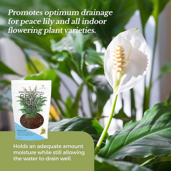 LEAVES AND SOUL Professional Peace Lily Soil : 2.2 Qt Ready to Use : Peat  Moss, Coco Coir, Perlite, Dolomite : Made in USA B0C5N7XZWW - The Home Depot