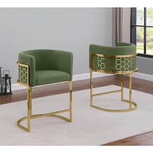 Evan 24 in. Green Low Back Gold Metal Frame Counter Height Chairs w/Teddy Fabric Set of 2