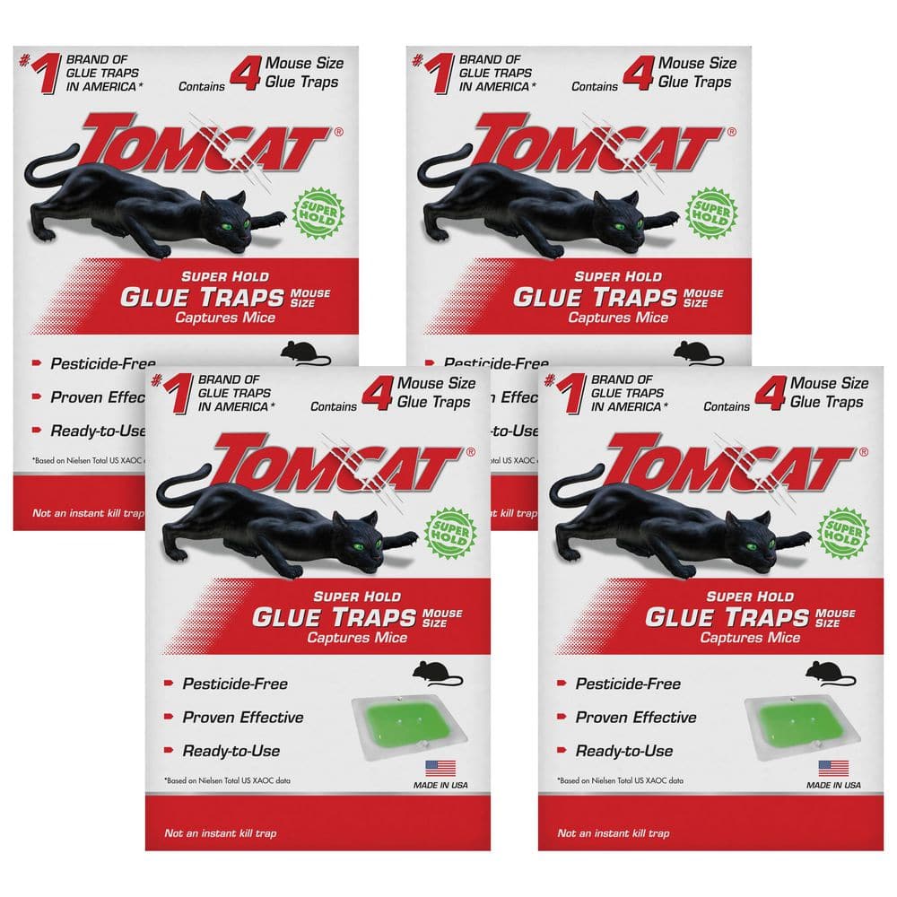 Super Hold Glue Traps Mouse Size, Ready-to-Use Mouse, Cockroach, Spider, and Scorpion Glue Traps (Two 4-Packs) price history on PriceWatchPro