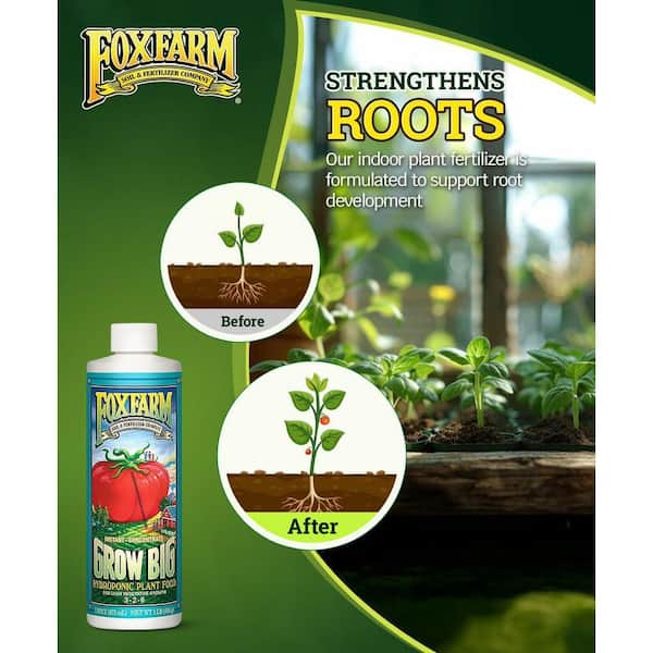 Primehome Hydro Organic Liquid Fertilizer 1-Pint, 3-2-6 for Hydroponic  Systems, Vegetative Growth Flowering Fruiting HD-VANK-OF-4 - The Home Depot