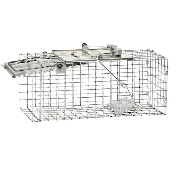 Havahart Small 1-Door Easy Set Humane Catch-and-Release Live Animal Cage  Trap for Squirrel and Rabbit 1083 - The Home Depot