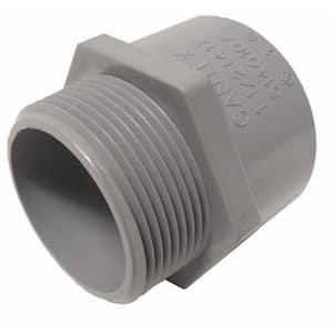 .75 in. PVC Male Terminal Adapter Conduit Fitting for Cantex PVC Conduits
