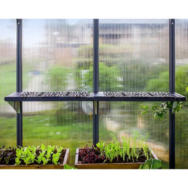 https://images.thdstatic.com/productImages/1a43a5a3-5854-48de-8b53-3be964379d84/svn/black-canopia-by-palram-greenhouse-supplies-707241-e1_600.jpg