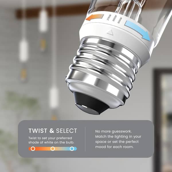 40-Watt Equivalent ST19 Dimmable Straight Filament E26 Clear Glass LED Light Bulb, Selectable White (4-Pack)