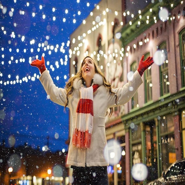 Hofert's Heavy-Duty Commercial Grade Mini Icicle Christmas Lights
