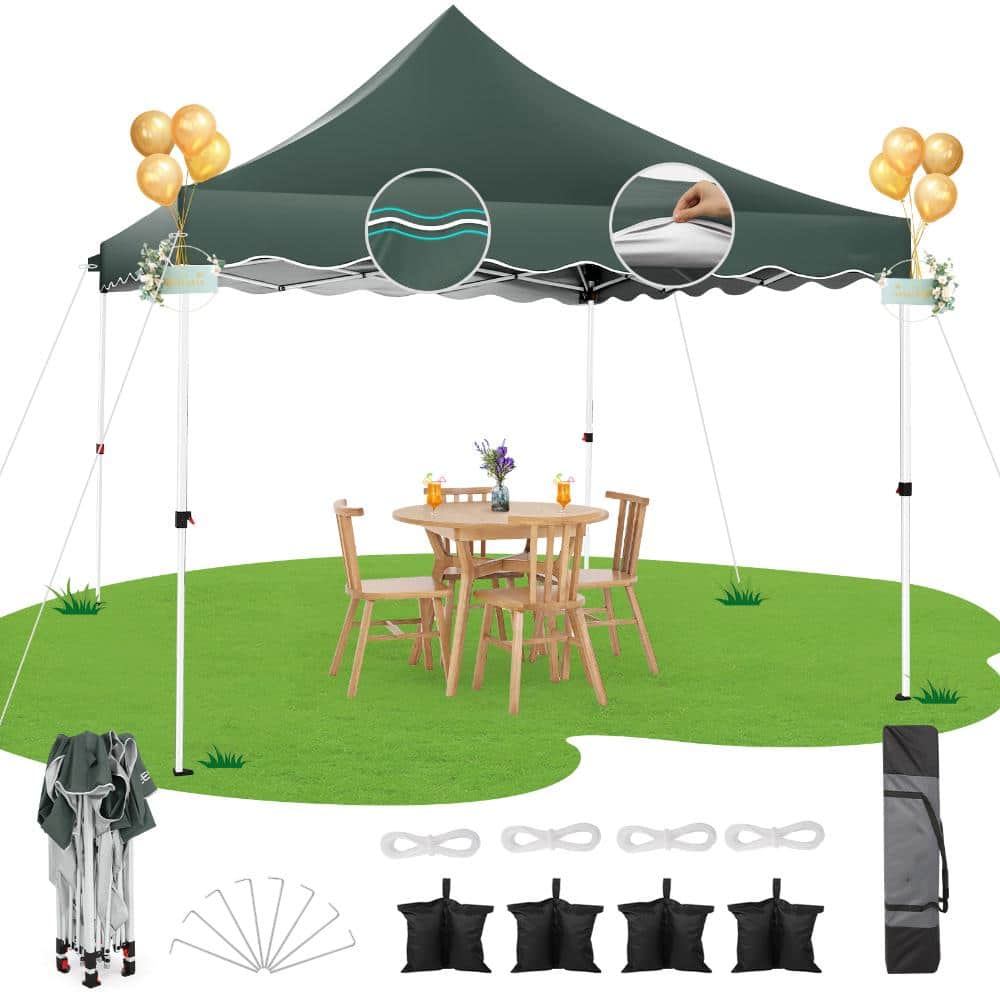 HOTEEL 10 x 10 Pop up Canopy Tent, Outdoor Instant Canopy