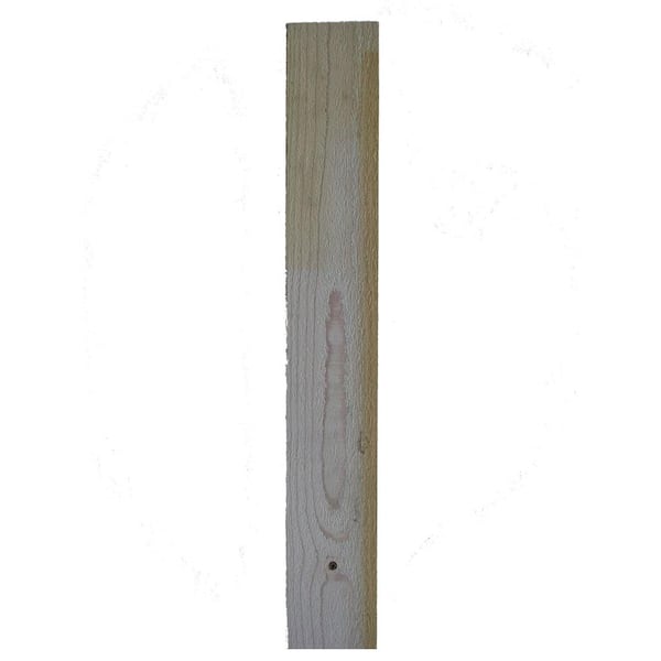 Unbranded Trim Board Resawn (Common: 1 in. x 2 in. x 10 ft.; Actual: 0.625 in. x 1.37 in. x 120 in.)