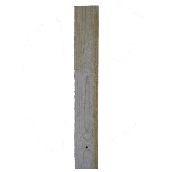 Unbranded Trim Board Resawn (Common: 1 in. x 3 in. x 10 ft.; Actual: 0.625 in. x 2.37 in. x 120 in.)