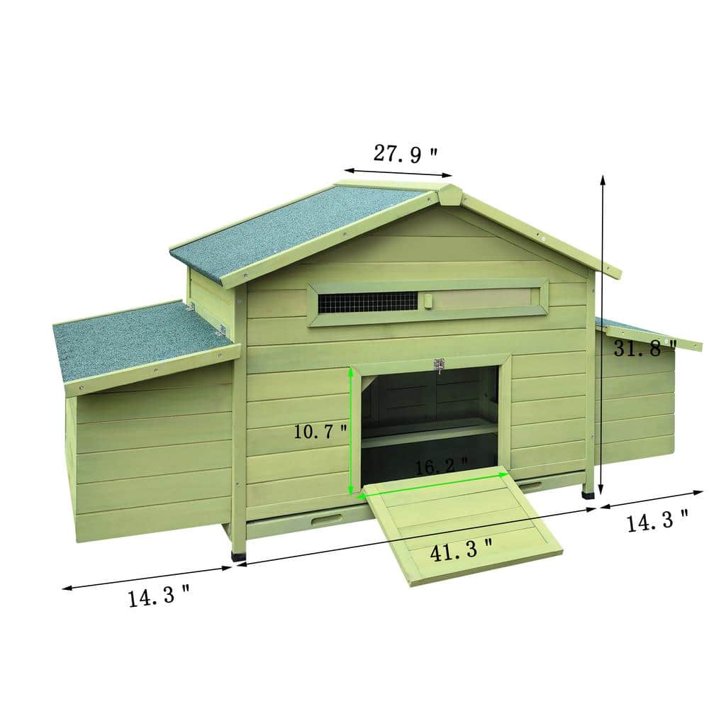 Green Wooden Chicken Coop with Nesting Boxes and Free-Range Doors