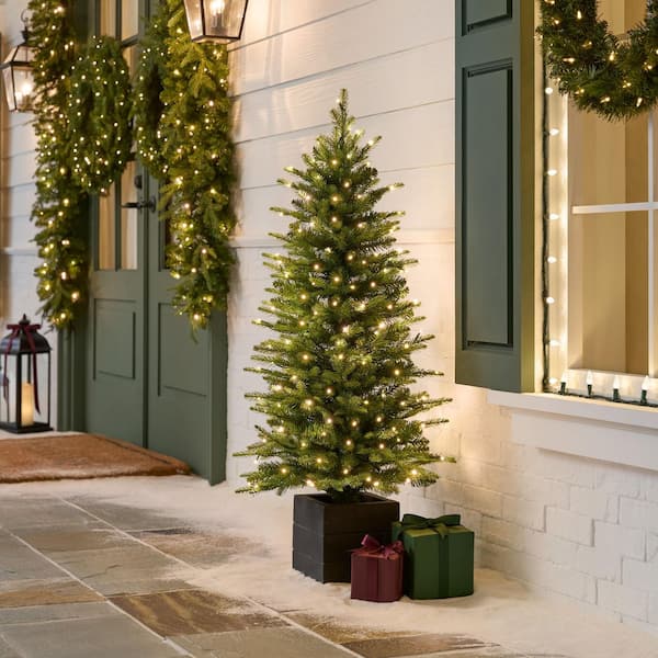 4 ft Potted SMART Grand Duchess Twinkling Balsam Fir LED Pre-Lit Tree T40