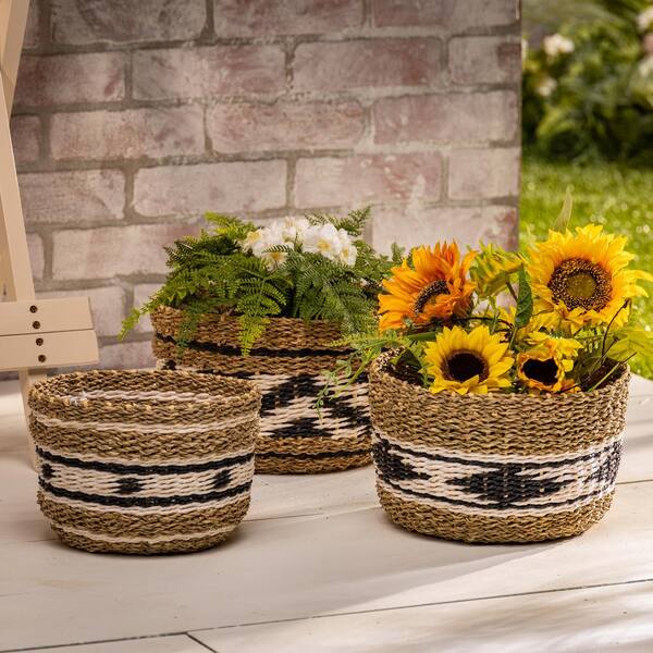 mDesign Woven Farmhouse Pantry Food Storage Bin Basket Box, 6 Pack - Brown  Ombre, 12 x 9 x 6