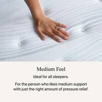 Harmony Beachfront Bay Queen Medium 11.5 in. Mattress