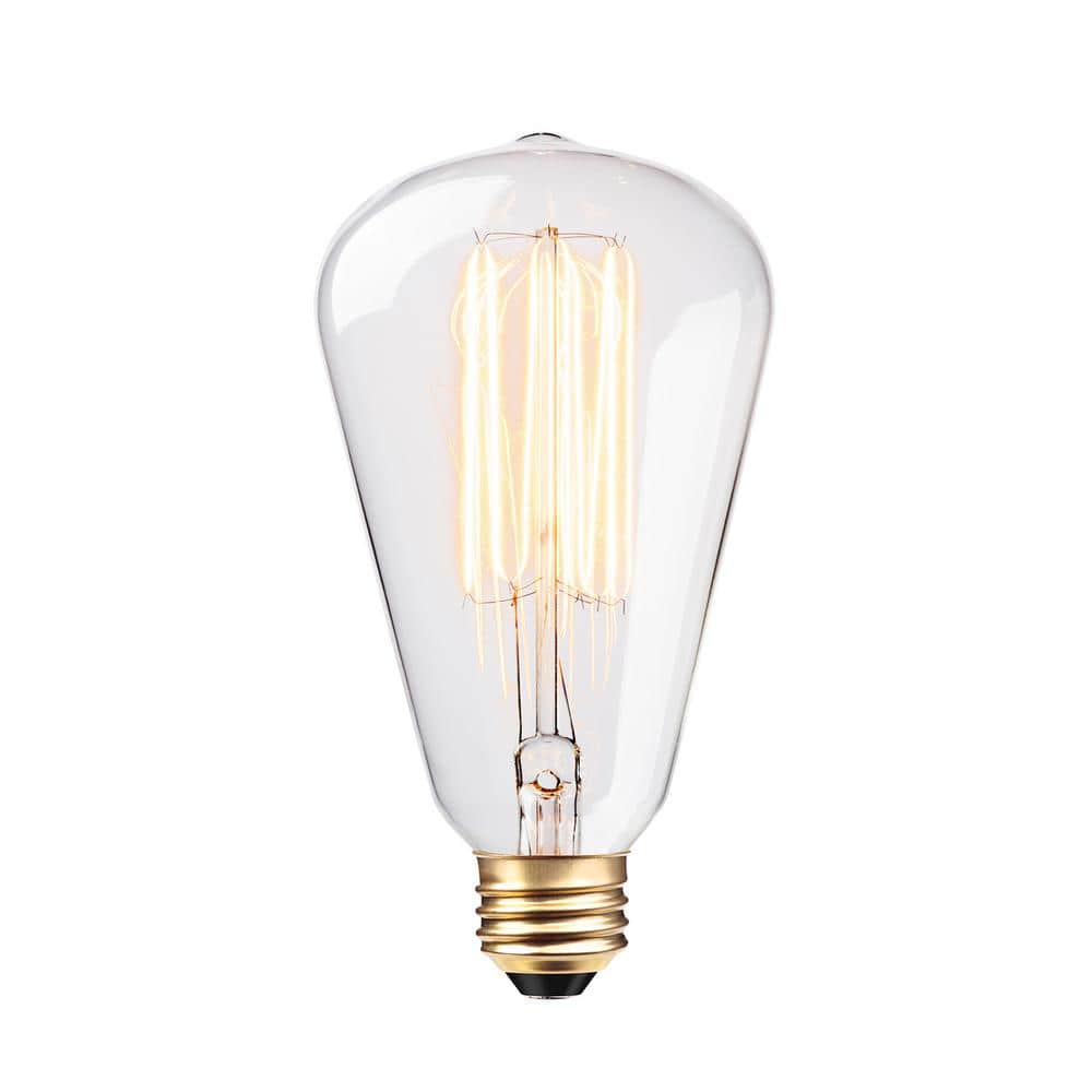 60 Watt S-Shape Dimmable Cage Filament Vintage Edison Incandescent Light Bu