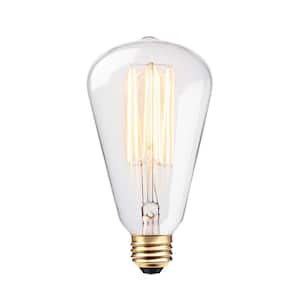 60 Watt S-Shape Dimmable Cage Filament Vintage Edison Incandescent Light Bulb, Warm Candle Light