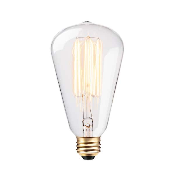 Globe Electric 60 Watt S-Shape Dimmable Cage Filament Vintage Edison Incandescent Light Bulb, Warm Candle Light