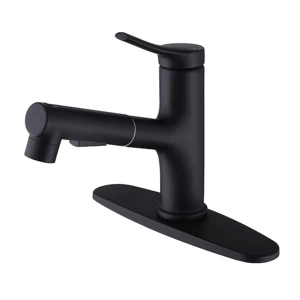 Single Handle Single Hole Bathroom Faucet with Pull Out Sprayer 304 Stainless Steel Sink Basin Vanity Tap in Matte Black