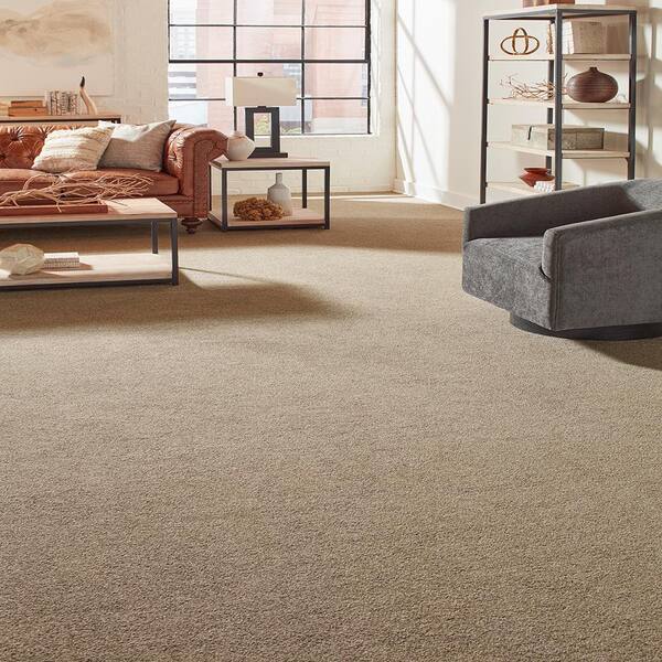 Home Decorators Collection Tailored Trends II Classic Beige