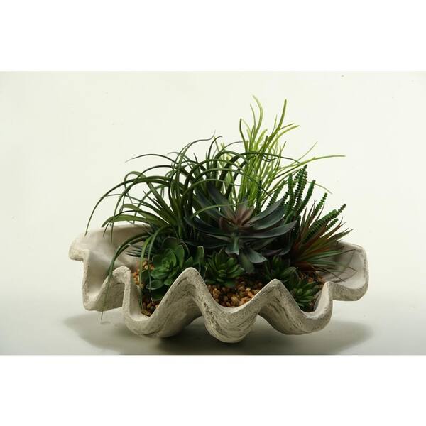 D&W Silks Indoor Pearl Grass, Assorted Echeveria, Aloe and Succulents in Resin Clam Shell