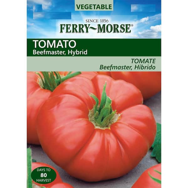 Ferry-Morse Tomato Beefmaster Hybrid Seed