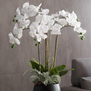 35 in. White Orchid Magnificent Five Stemmed Orchid Shown In Full Bloom this Artificial Gem Sits in Circular Pot