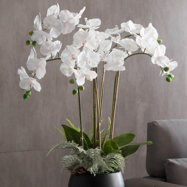 35 in. White Orchid Magnificent Five Stemmed Orchid Shown In Full Bloom ...