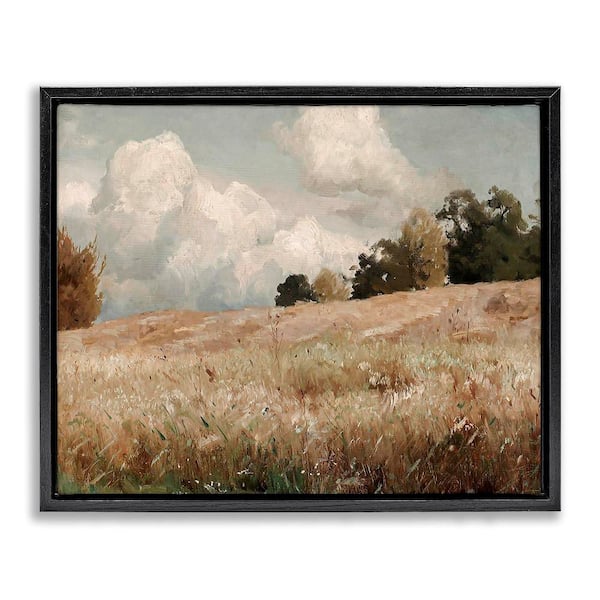 Stupell Industries Cloudy Field Landscape by Lettered and Lined 1-Piece Black Floater Frame Nature Graphic Art Print 31 in. x 25 in.