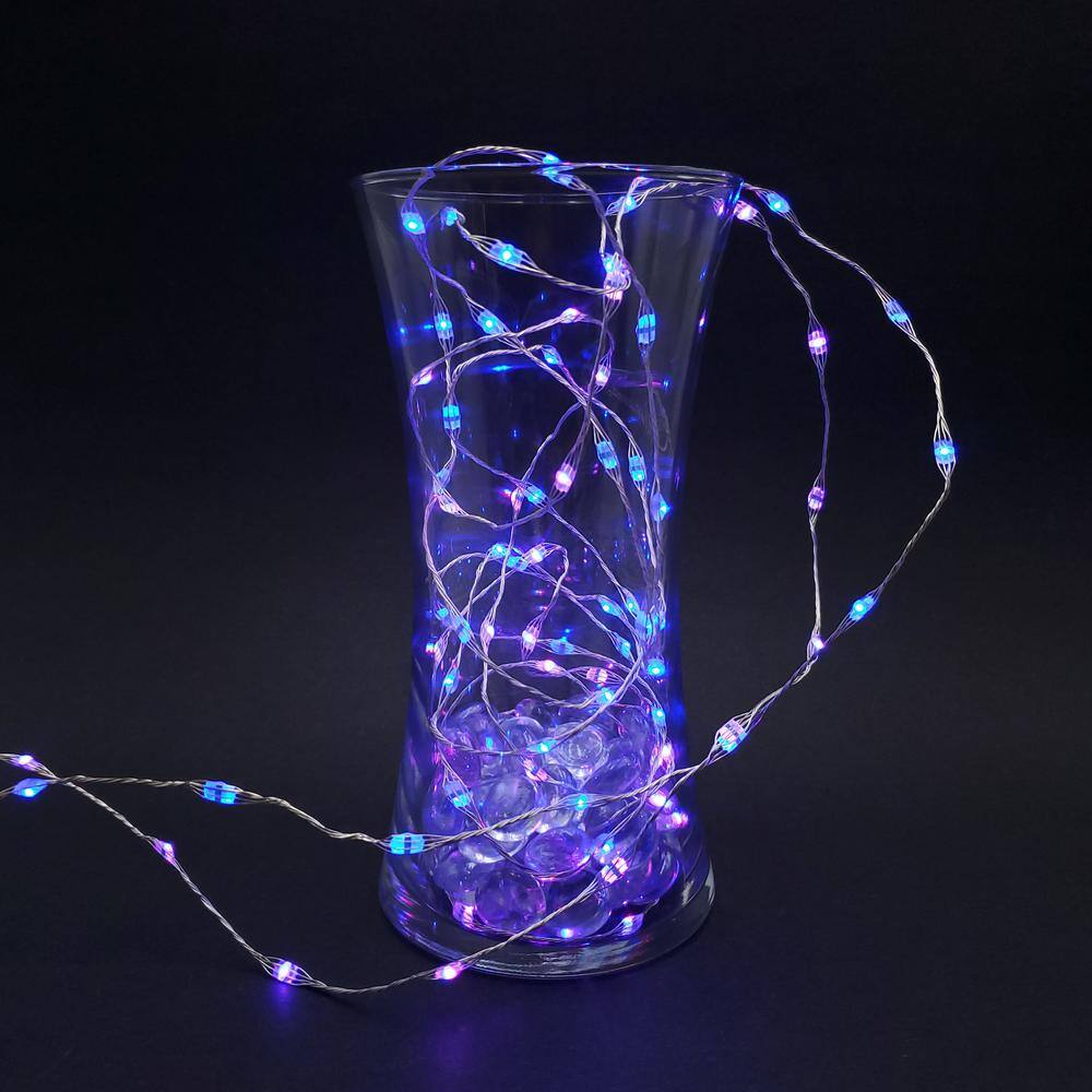 Multi-Color LED Battery Operated Fairy String Lights with Remote