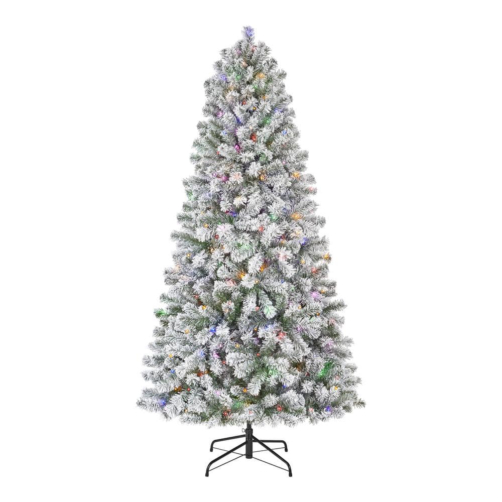 Order The Perfect Holiday 6' Black Canadian Pine Christmas Tree