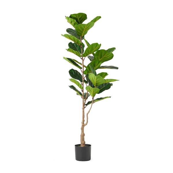 Noble House Sherard 5 ft. Green x 2 ft. Green Artificial Fiddle-Leaf Fig Tree