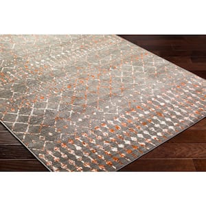 Rubena Charcoal/Burnt Orange 8 ft. x 10 ft. Indoor/Outdoor Area Rug