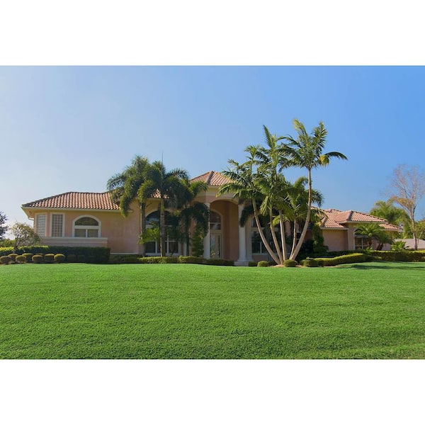 Harmony - 500 sq. ft. Bermuda Sod (1-Pallet)