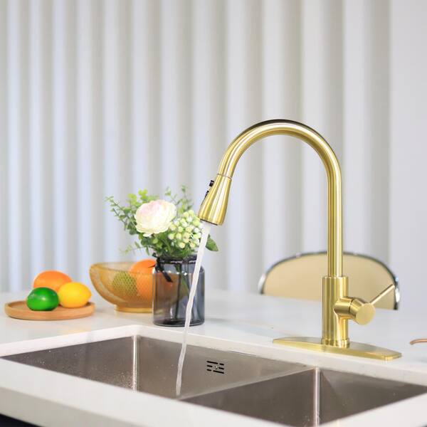 Cornet Gold Finish Kitchen Sink Faucet with Dual Spouts & Cover Plate -  Funitic