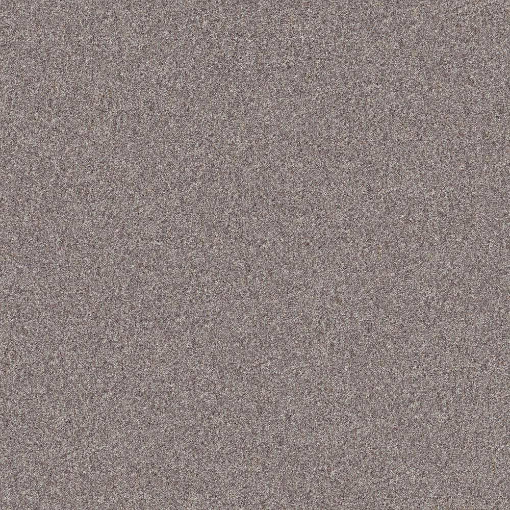 Riverbluff Warm Stone Beige 42 oz. Solution Dyed Polyester Texture Full Roll (1,125 sq. ft. /Roll) price history on PriceWatchPro