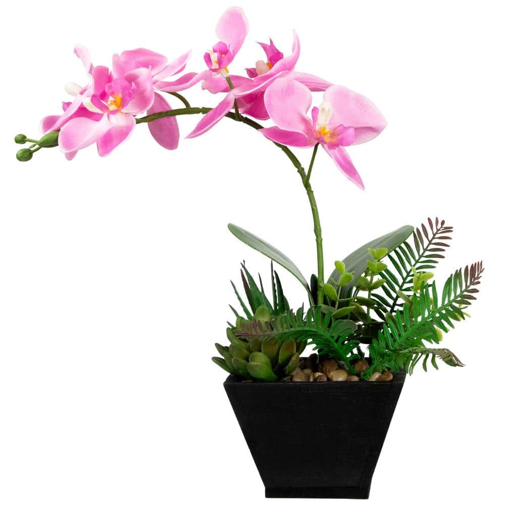 Love Box of Gypsophila with Orchids Accent