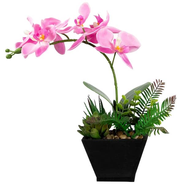 Northlight 13 in. Artificial Orchid with Succulent Plants in Pot