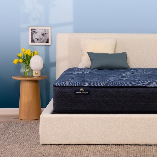 Perfect Sleeper Oasis Sleep Twin XL Plush 13.25 in. Mattress Set with 9 in. Foundation