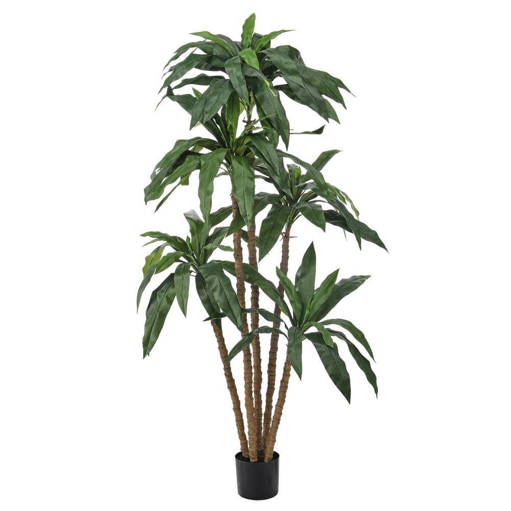 Regency International 6 ft. Artificial Dracaena Marginata Tree in