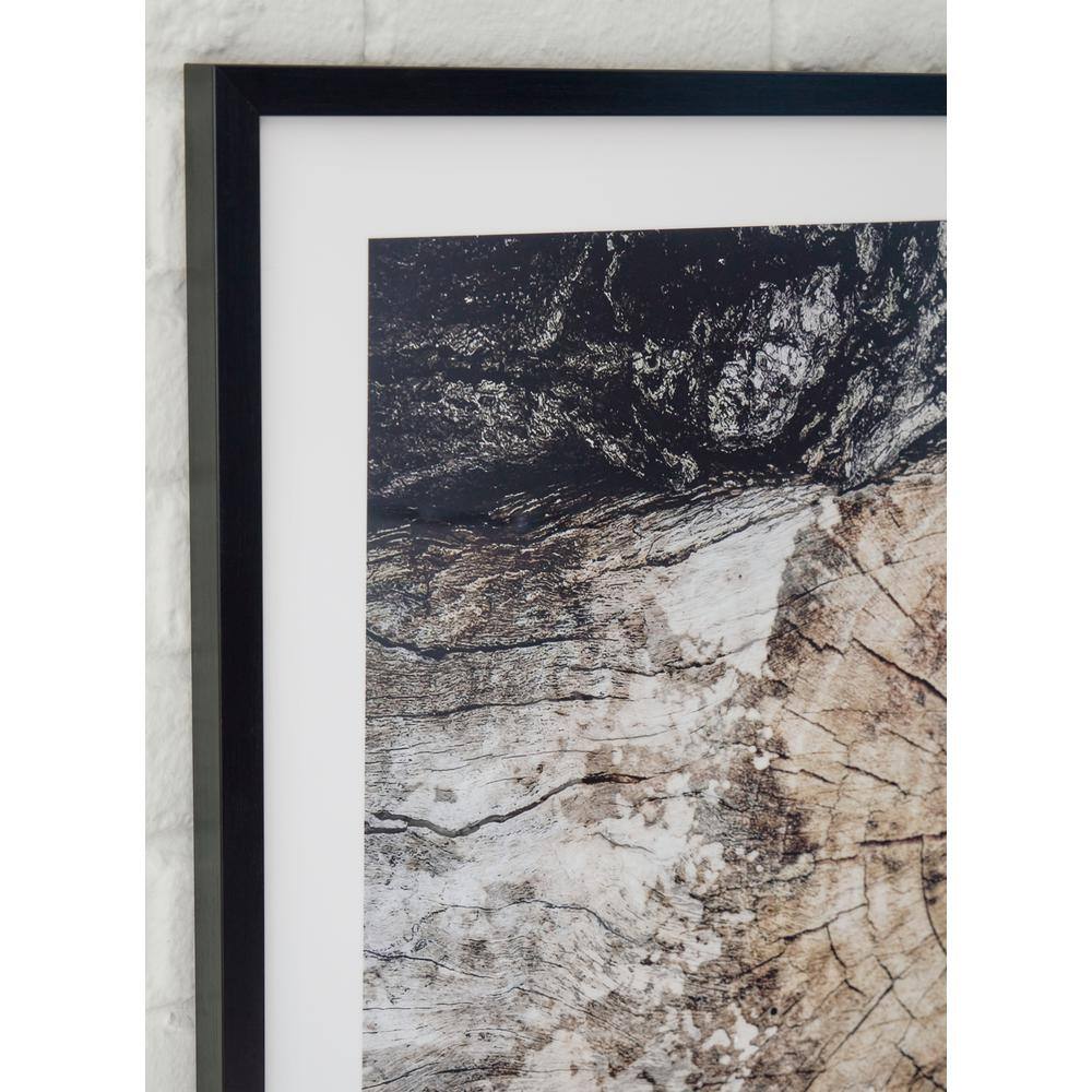 Freyburn 40" Black and Brown Tree Wall Art