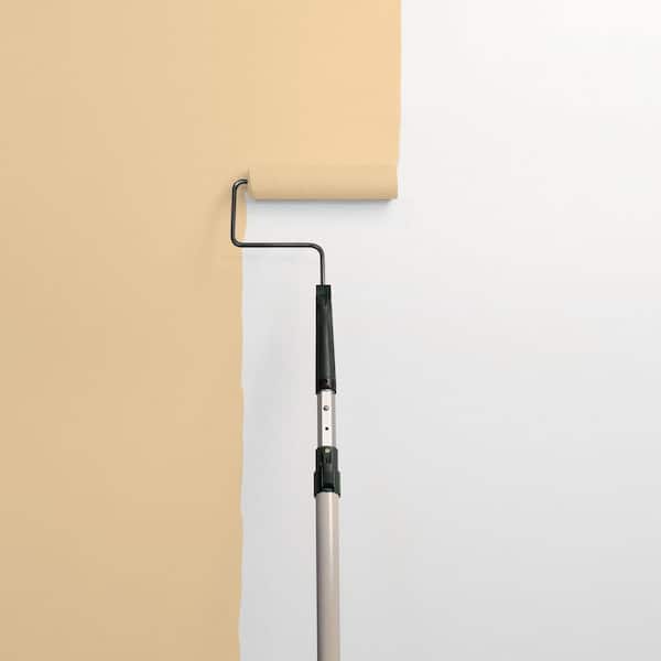Faint Fawn PPG1089-4 Paint