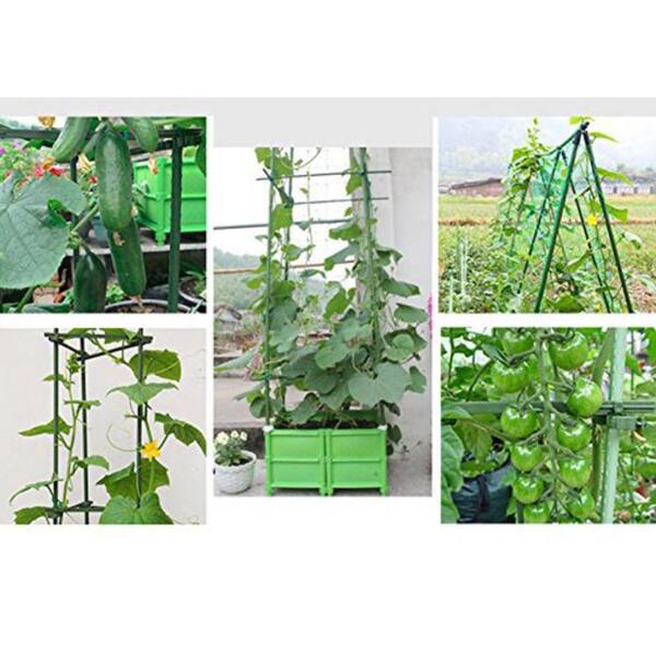 Ecostake Plant Stakes With Ties - Perfect For Tomatoes, Peppers & Eggplants!