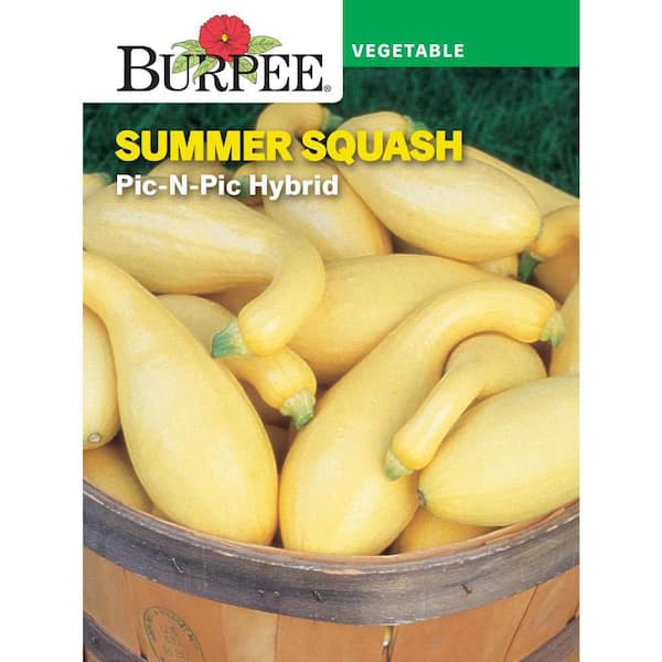Burpee Garden Squash Summer Pic-N-Pic Hybrid Vegetable Seed