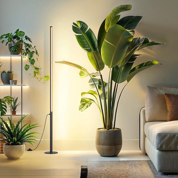 hcman Grow Light w/ Timer, Adjustable 4 ft. to 5.6 ft. Height Full