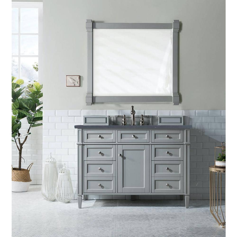Brittany 48 in. W x 23.5 in.D x 34 in. H Single Bath Vanity in Urban Gray with Quartz Top in Charcoal Soapstone price history on PriceWatchPro