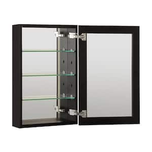 19 in. W x 30 in. H Rectangular Black Aluminum Recessed/Surface Mount Medicine Cabinet with Mirror