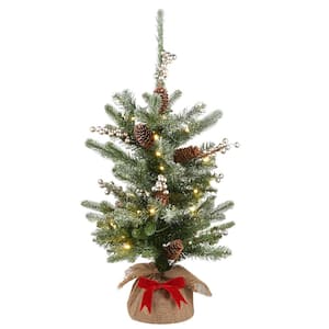 2 ft. Snowy Morgan Spruce Artificial Christmas Tree with Battery Operated Lights