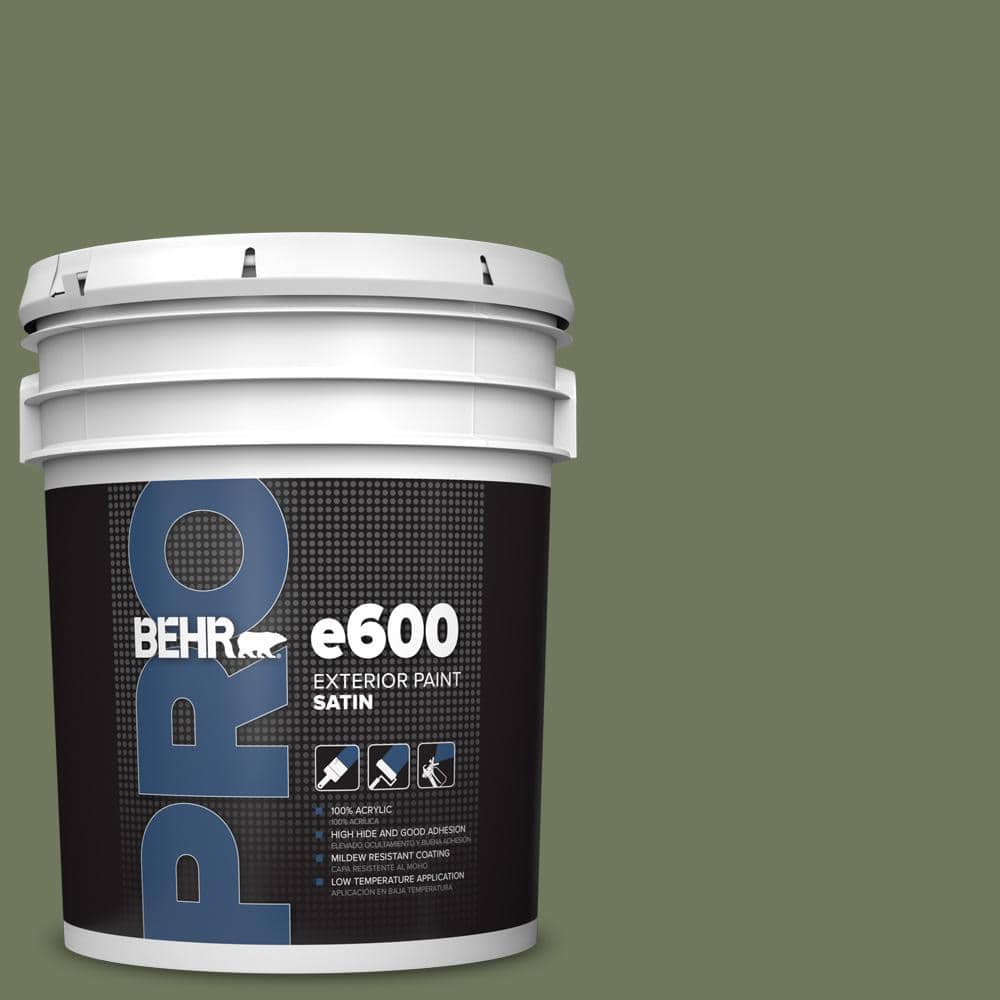5 gal. #420F-6 Egyptian Nile Satin Exterior Paint price history on PriceWatchPro