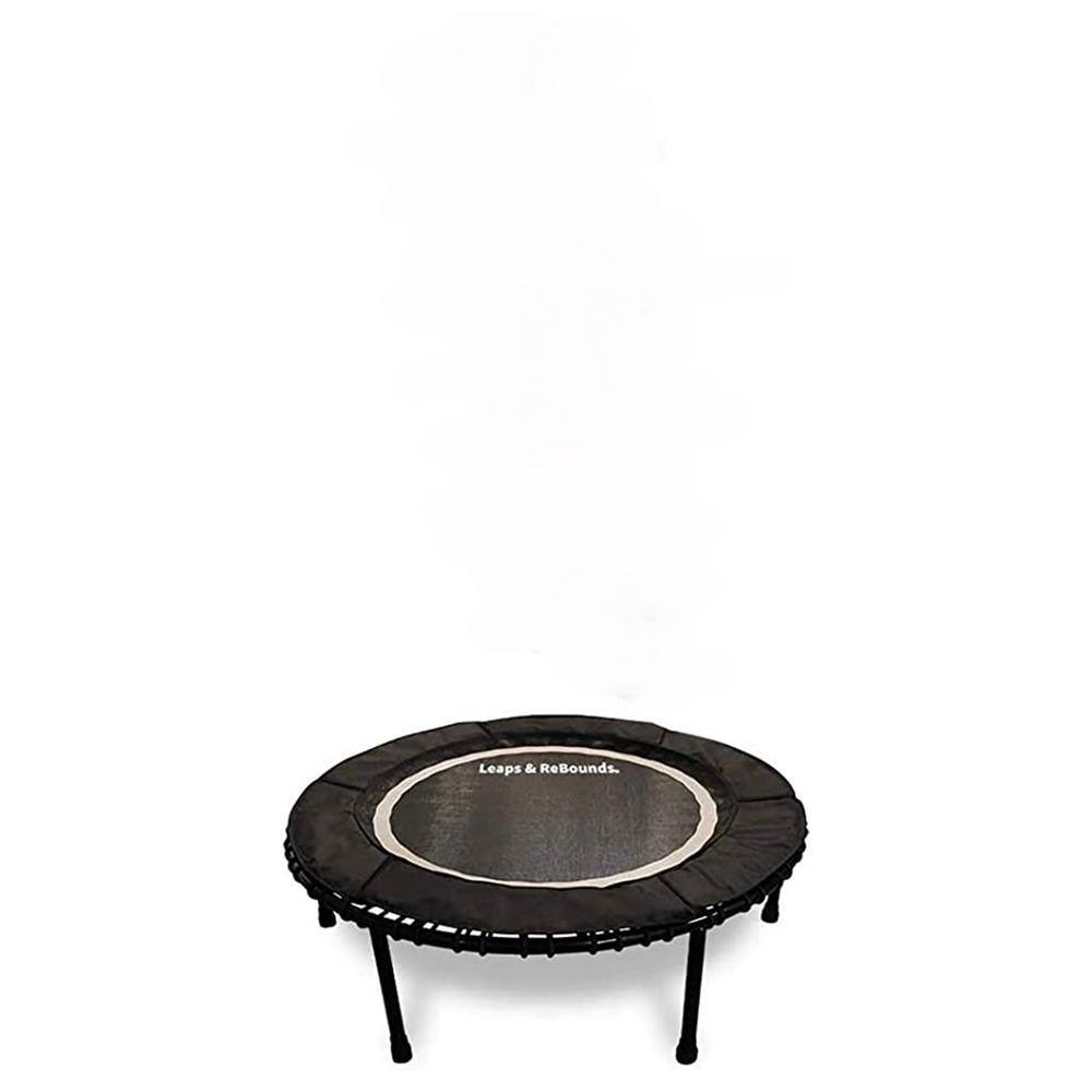 48 in. Mini Fitness Trampoline and Rebounder Gym Equipment, Gray